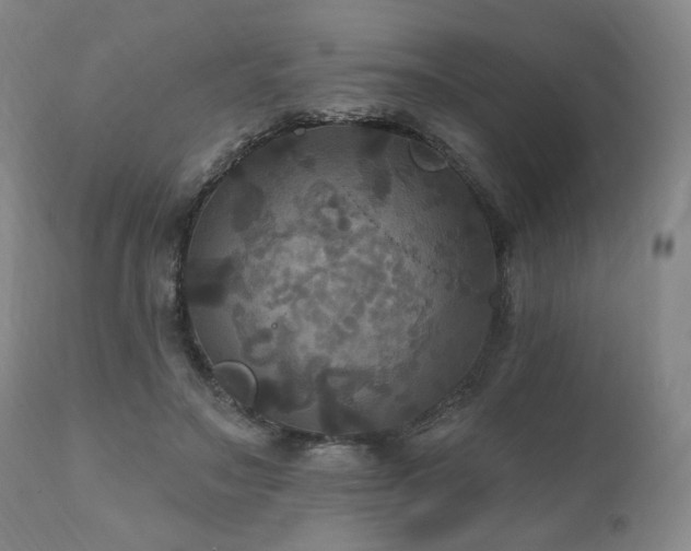 X0000112030499200908031440