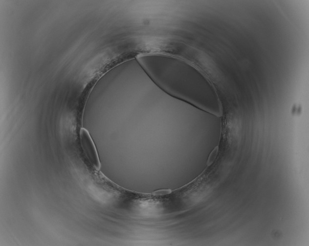X0000112030500200908031439