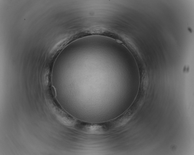 X0000112030501200908031439