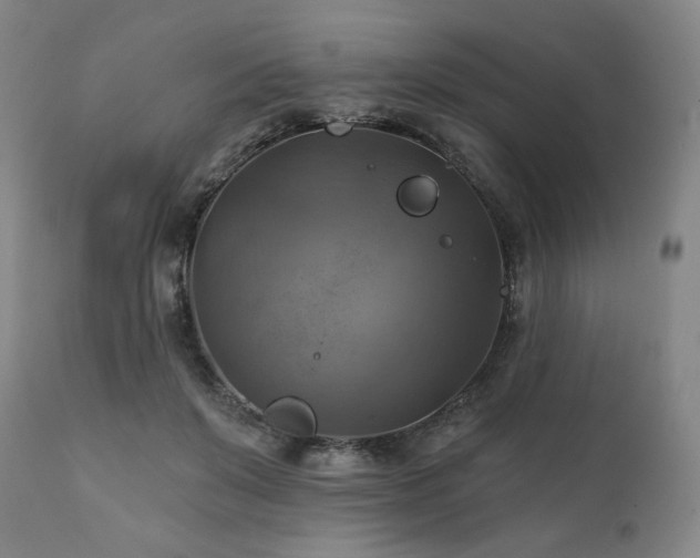 X0000112030503200908031439