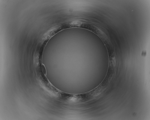 X0000112030504200908031439