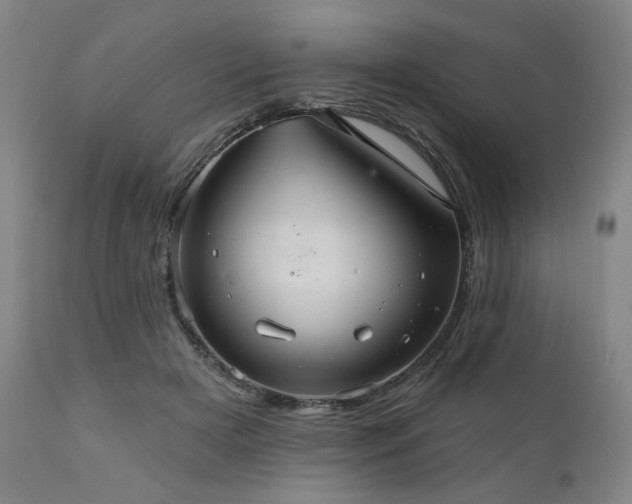 X0000112030505200908031439