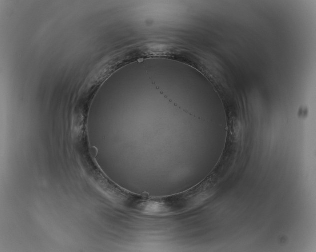X0000112030507200908031439
