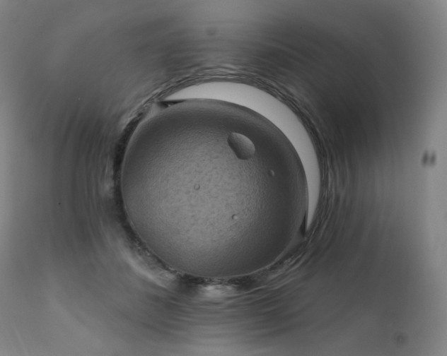 X0000112030508200908031439
