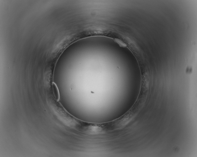 X0000112030509200908031439