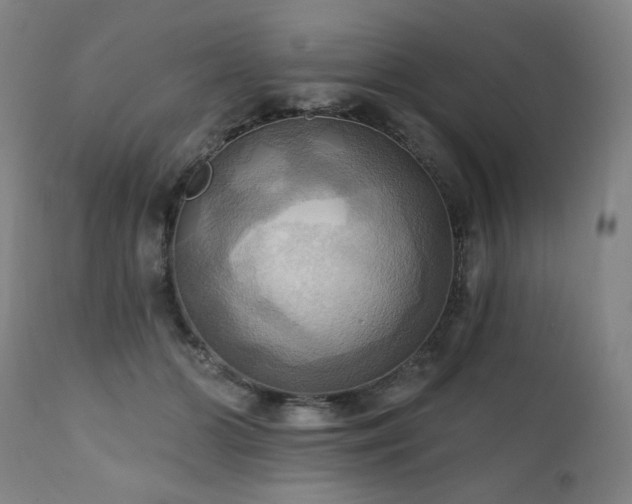 X0000112030510200908031439