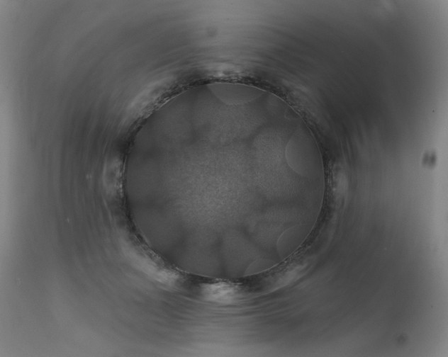 X0000112030511200908031439