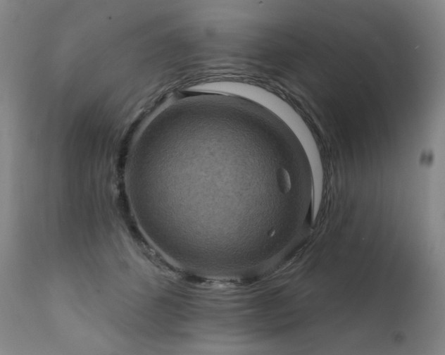 X0000112030512200908031439