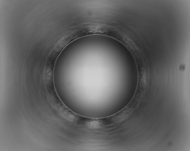 X0000112030513200908031439