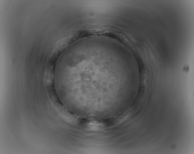 X0000112030515200908031439