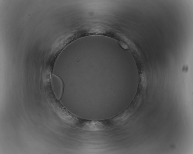 X0000112030517200908031439