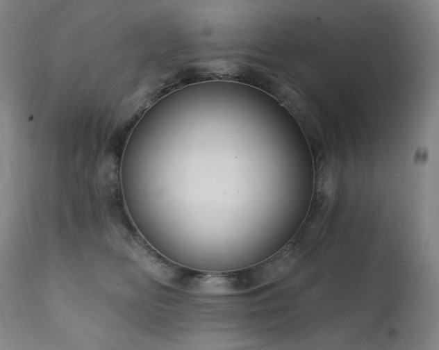 X0000112030518200908031439