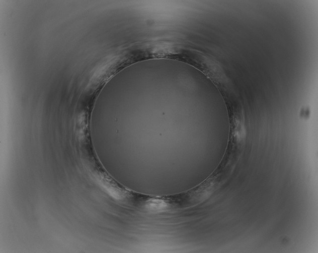 X0000112030519200908031439