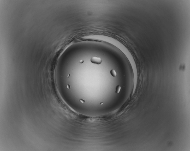 X0000112030520200908031439