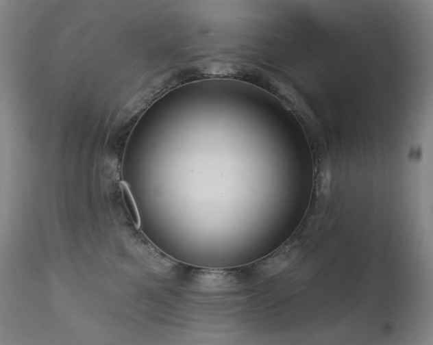 X0000112030521200908031439