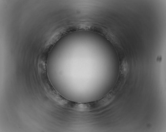 X0000112030522200908031439