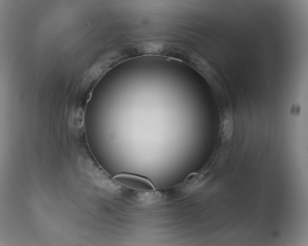 X0000112030525200908031439