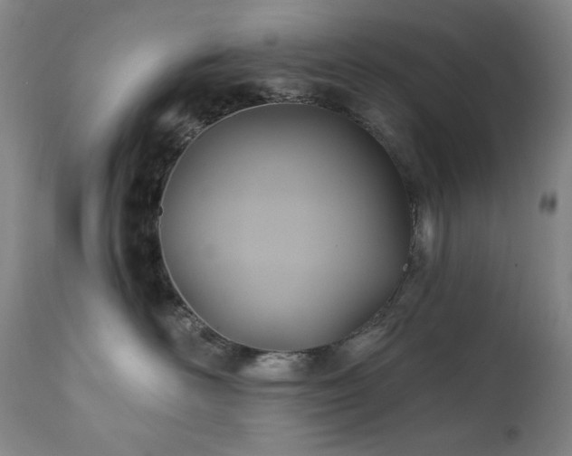X0000112030526200908031439