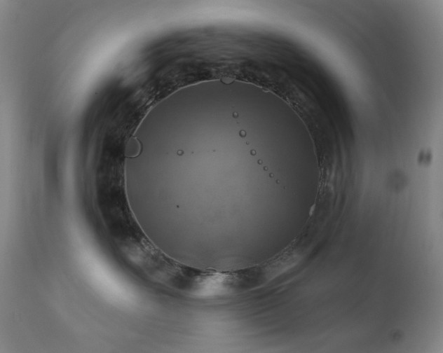 X0000112030527200908031439