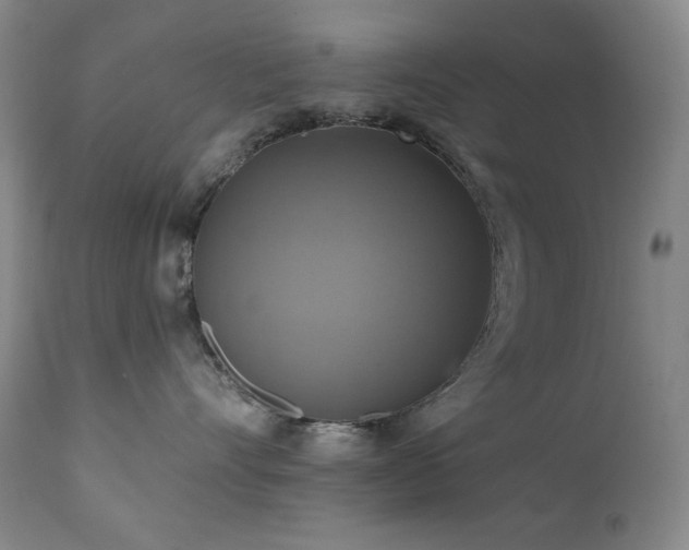X0000112030528200908031439