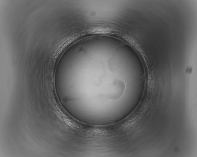 X0000112030529200908031438