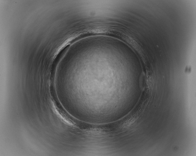 X0000112030530200908031438