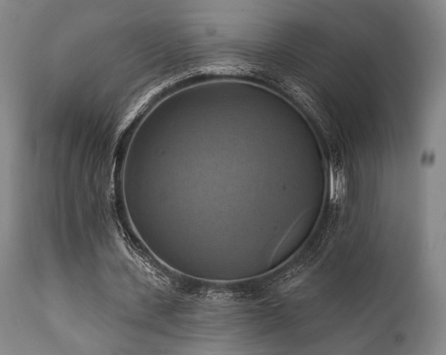 X0000112030531200908031438