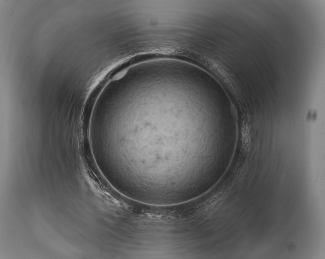 X0000112030532200908031438