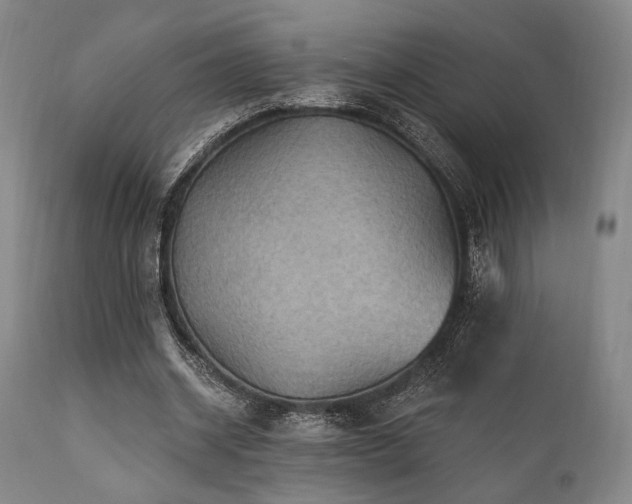 X0000112030534200908031438