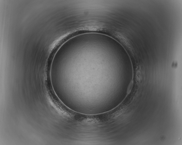 X0000112030536200908031438