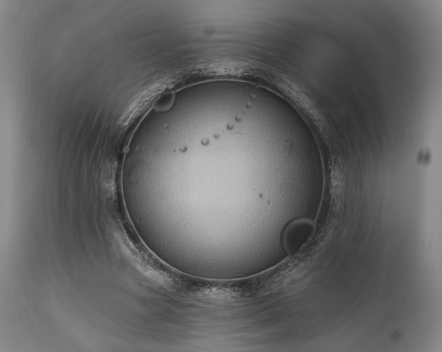 X0000112030537200908031438
