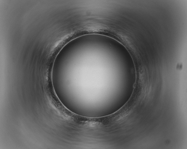X0000112030539200908031438