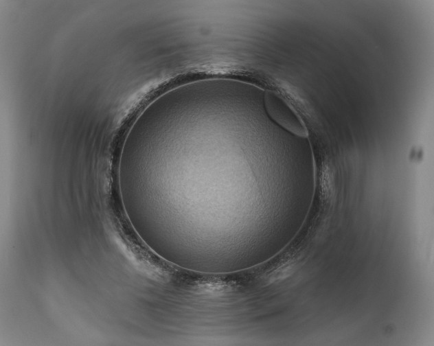 X0000112030540200908031438