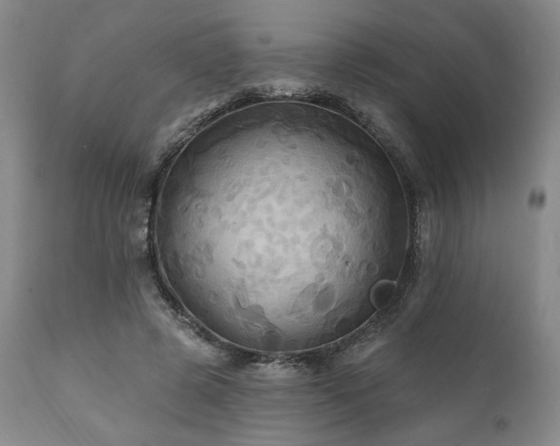 X0000112030545200908031439