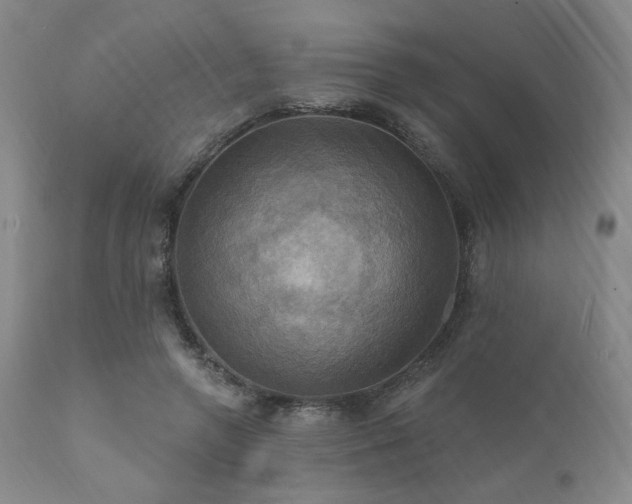 X0000112030546200908031439
