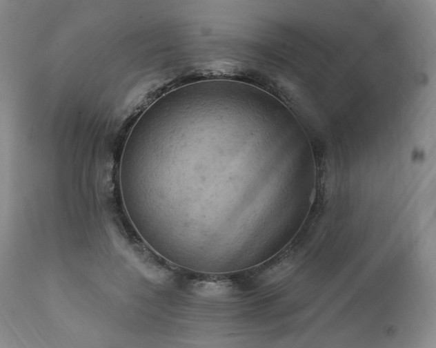 X0000112030548200908031439
