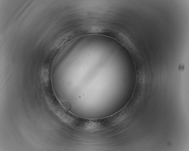 X0000112030549200908031439