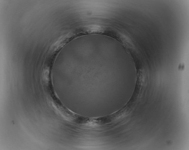 X0000112030550200908031439