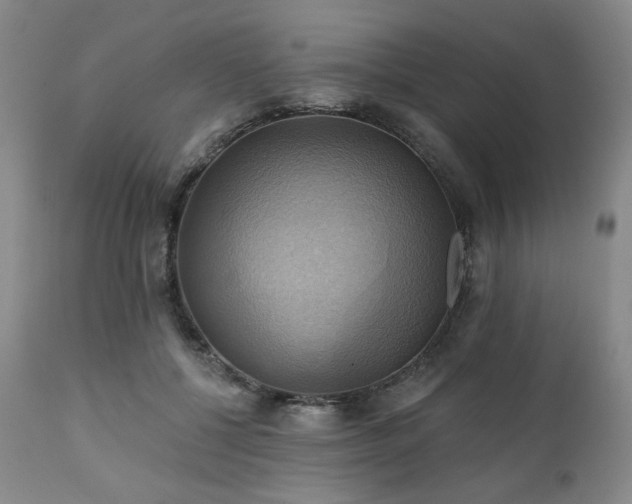X0000112030552200908031439