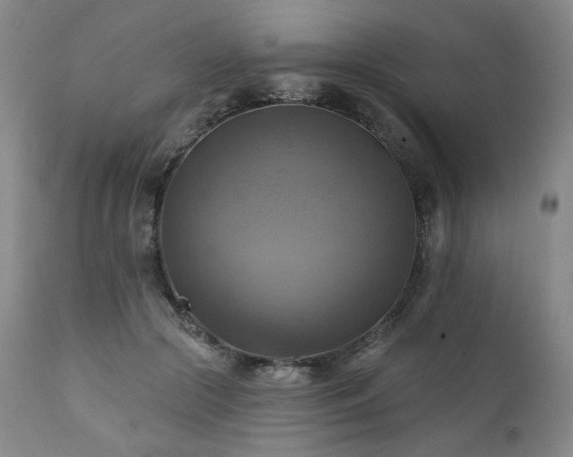 X0000112030553200908031439