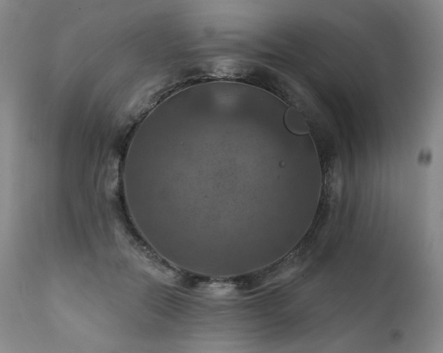 X0000112030554200908031439