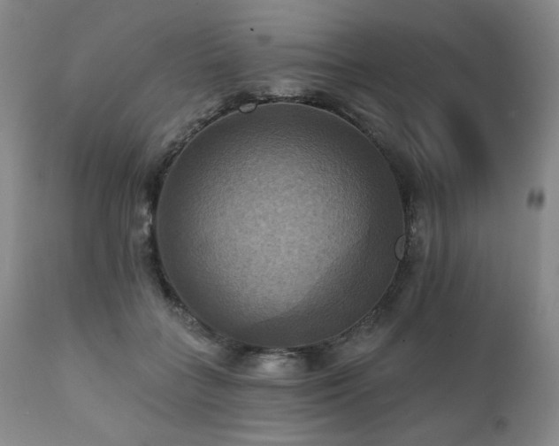 X0000112030555200908031439