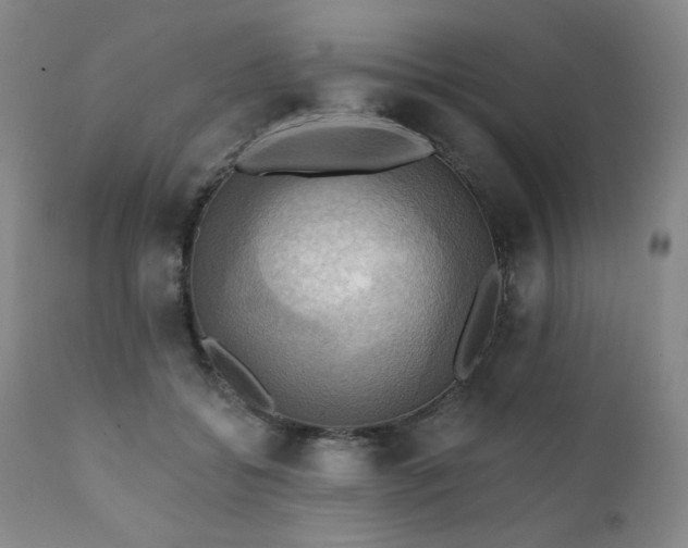 X0000112030556200908031439