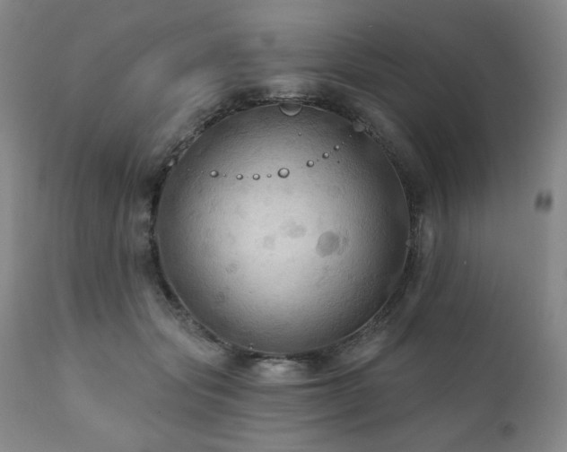 X0000112030557200908031439