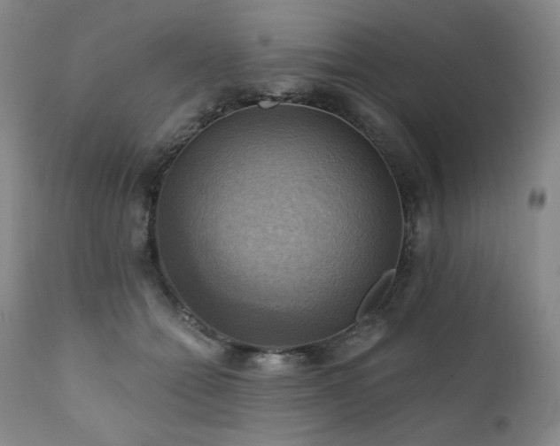 X0000112030558200908031439