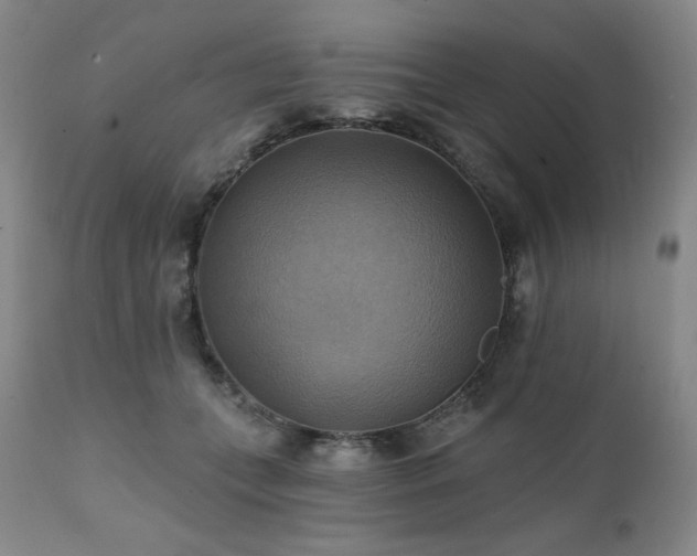 X0000112030559200908031439