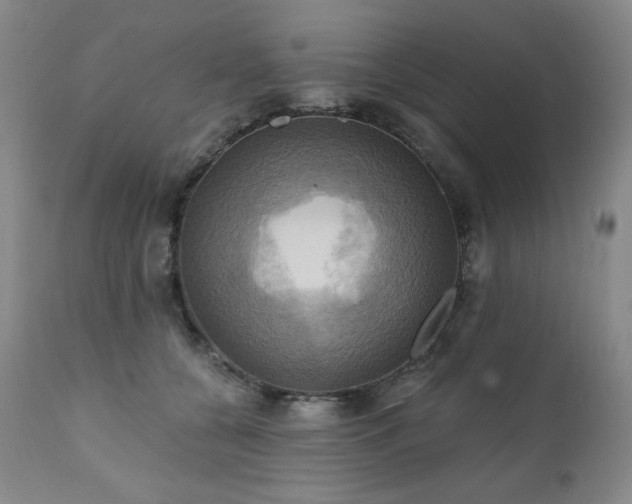 X0000112030560200908031439