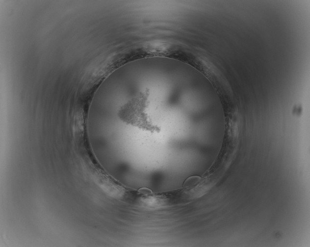 X0000112030561200908031439