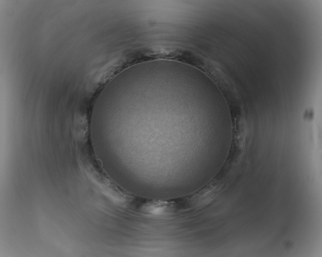 X0000112030563200908031439