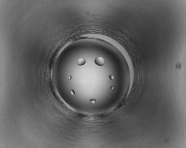 X0000112030564200908031439